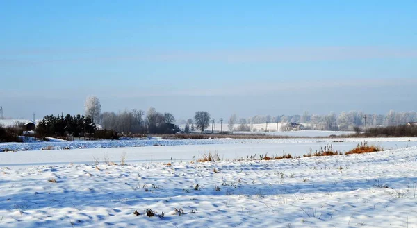 Zimowy Krajobraz Polsce — Stockfoto