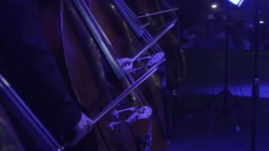 Müzisyenler Stand Mavi ışıklar Rock Senfoni Ukrayna tur konser Kiev orkestra şefi Nikolai Lysenko çello bir yay erkekler ellerini müzik kitapları ile oynamak