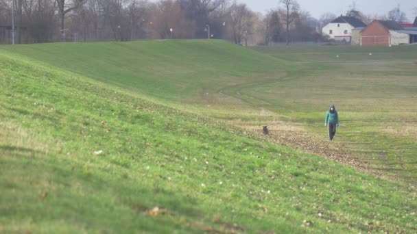 Person in Jacke geht mit Hund grünen Hügel sonnigen Tag Abend ländliche Landschaft Dorfhäuser am Horizont kahle Äste Bäume Herbst Frühling Winter — Stockvideo