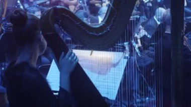 Müzik kitap standları Rock Senfoni konser Ukrayna tur Kiev orkestra şefi Nikolai Lysenko kadın müzisyen Arpçı flüt çalmaya Bun müzisyenler ile rüzgarlar