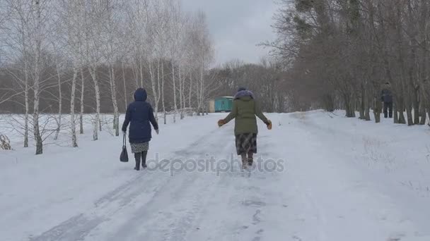 Dos mujeres caminan apresuradamente por el camino cubierto de nieve Árboles desnudos en ambos lados del camino Cielo gris Nublado nevado Día de invierno al aire libre — Vídeo de stock