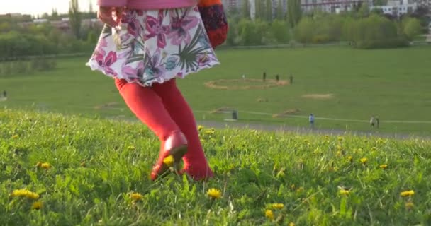 Silhuetas de pessoas descansando em Green Hill campo de dente-de-leão na borda da primavera de edifícios da cidade em um horizonte noite recreação juntos famílias cão — Vídeo de Stock