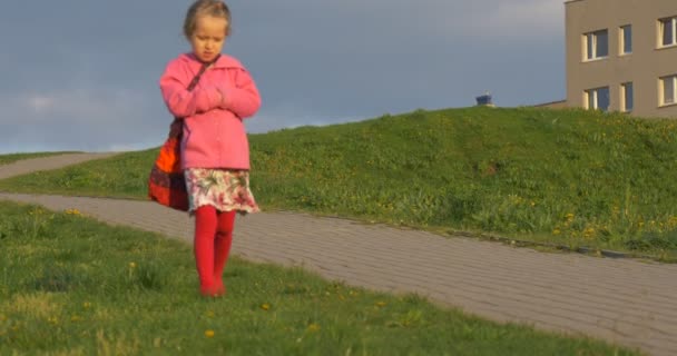 Famiglie a Opole Park nel Giorno della Costituzione Kid Walking Downhill by Footpath Gruppo di persone stanno camminando con il cane tra prato verde nei fine settimana primaverili — Video Stock
