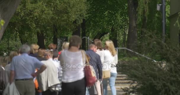 Tag der Stadt in Polen Gruppe von Touristen führt im Park an sonnigen Tagen Sommer grüne Bäume Menschen lauschen dem Führer, der über den Ort erzählt — Stockvideo