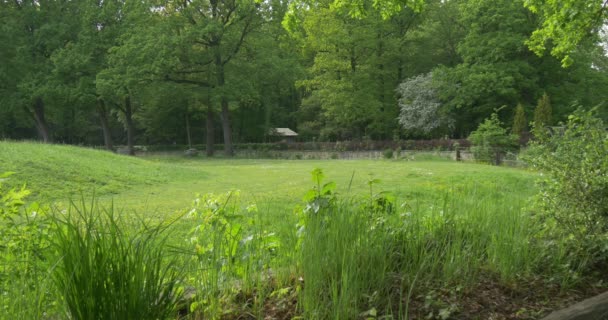 Blomma sängar örter grönt frisk gräsmatta träd i Park sommaren landskap Serene plats rekreation utomhus utflykt till den vackra platsen ingen folk bara natur — Stockvideo