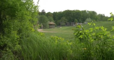 Yaz manzara hayvanat bahçesinde yürüyüş zürafalar Park sakin yer rekreasyon açık havada gezi hayvanların davranış gözlemleyerek Paddock ağaçlarda taze çimen yeşil