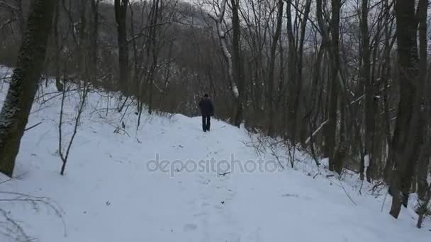 深い雪と裸の木で覆われた国立公園の Sviatogorskaya 正教会修道院とその斜面に沿って歩く宗教的なひげを生やした男 — ストック動画