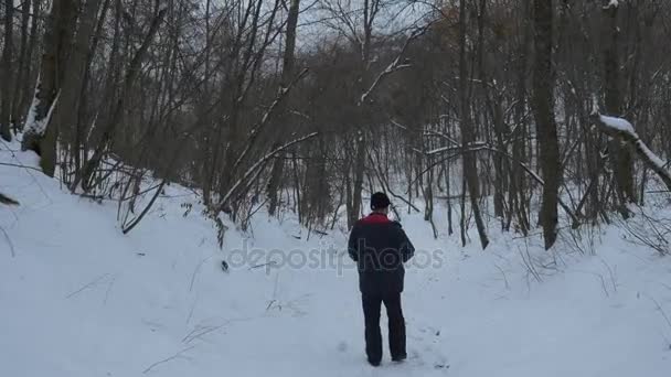 Sviatogorsky 洞穴修道院国家公园和一个大胡子的男人走在山坡布满神秘传播光秃的树木在冬天 — 图库视频影像