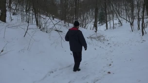 Sviatogorkaya Lavra Park Narodowy położony w wzgórza, pokryte głębokim śniegu i duże nagie drzewa i Brodaty mężczyzna przechodząc wzdłuż alei i rozglądając się — Wideo stockowe