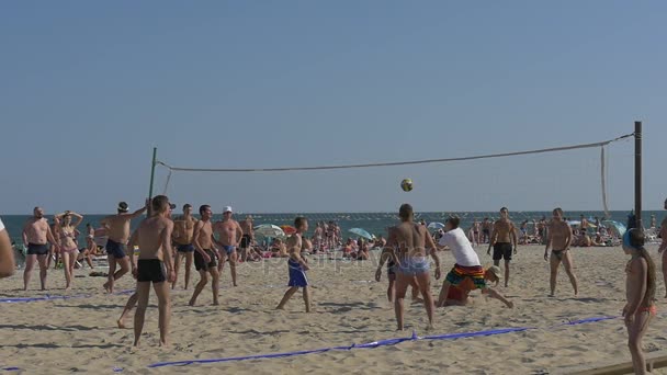 Велика група дорослих чоловіків грає пляжний волейбол — стокове відео