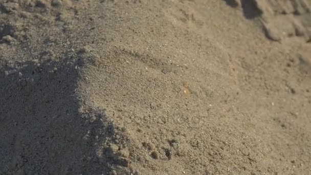 Mädchen versucht sich unter dem Sand zu vergraben — Stockvideo