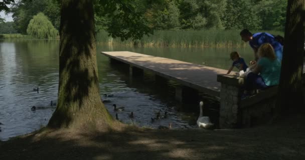 Un jeune couple marié se repose dans le parc d'une ville — Video