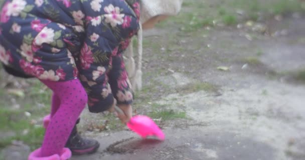 女の子がピンクのシャベルで地面を掘る — ストック動画