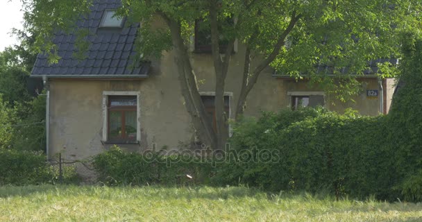 Een dorp huis met een moderne zwarte pannendak, met een grote groene boom voordat het en een indrukwekkende groene omheining met een gazon — Stockvideo