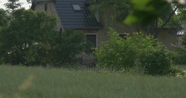 Canlı yeşil çit, güzel çayır ve Doğu Avrupa dallarda sallanan ile yayılan bir ağaç ile Modern köy evi