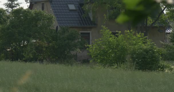 une maison de village moderne avec clôture verte en direct, une belle prairie et un arbre étalé avec des branches oscillantes en Europe de l'Est 