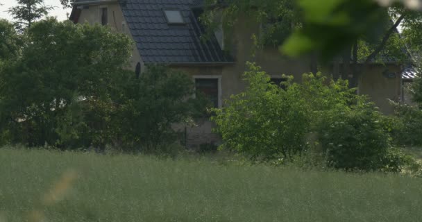 Een Modern dorpshuis met levende groene omheining, mooie weide en een verspreiding boom met slingerende takken in Oost-Europa — Stockvideo