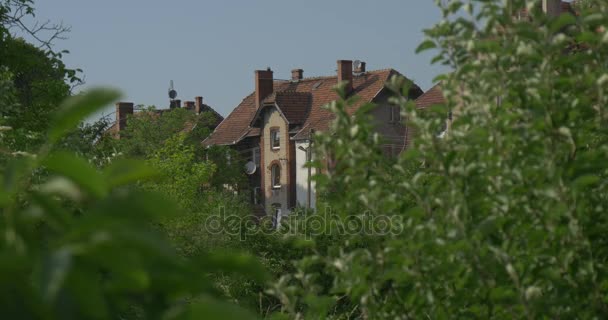 Удивительное двухэтажное здание со старым дымоходом и современной черепичной крышей, с большим количеством зеленых деревьев и кустарников перед ним — стоковое видео