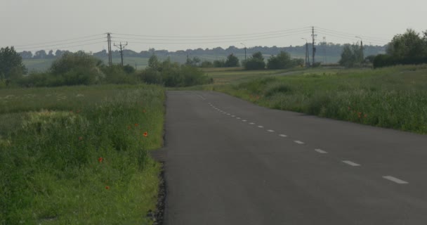 Два Lane асфальтована дорога села з травою неподалік і зелений ліс з електричним поляків у фоновому режимі у вечірній Twilights — стокове відео