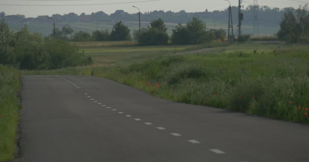 A Two Lane Asphalt Road Going Through Some Green Meadow to a Green Forest With Electric Poles in the Background in Summer — Stock Video