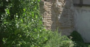 Uspensky Sobor antik döküm ve oyma işi ve bir sürü Greenary yaz aylarında Bodrum