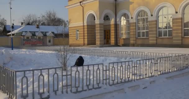 Eine einsame schwarze Krähe fliegt im Winter tagsüber in Zeitlupe von einem Metallzaun an einem Bahnhof in der Stadt Konotop — Stockvideo