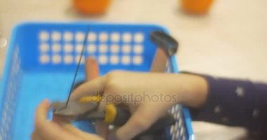 Çocuğun elleri kullanım kerpeten bazı kesmek için tel ve bir sepet içine araçlar için pense ve başka bir şey ile kapalı koydu