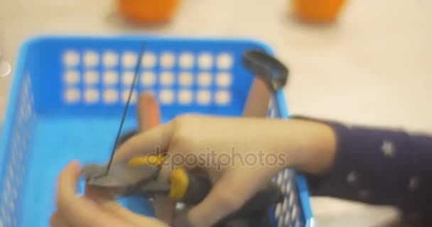 Child`s Hands Use Nippers to Cut Some Wire and Put Them Into a Basket For Tools With Pliers and Something Else Indoors — Stock Video