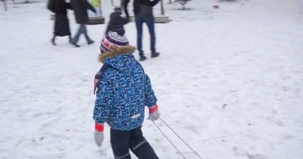 Szczęśliwy chłopczyk ciągnie jego sanie w Winter Park osób sylwetki turystów są zajęte przez atrakcje zimowe w lesie rodzin spędzić Boże Narodzenie razem — Wideo stockowe