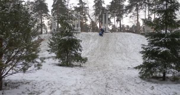 İnsanlar yokuş yukarı gidiyor kızak Park kış aktivitelerine Snowy orman siluetleri çocuklar ve ebeveynler için açık havada Hill iğne yapraklı ağaçlar tırmanma vardır — Stok video