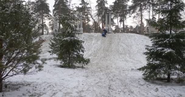 人登っている上り坂行く子供と親の雪の森林シルエットの公園冬のアクティビティでそりに屋外ヒル球果を結ぶ木の上 — ストック動画