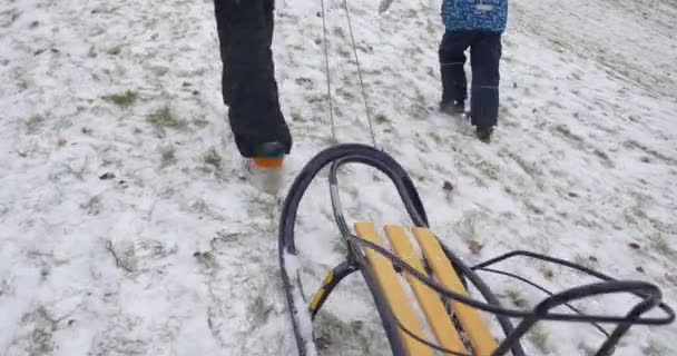 雪雪の森林の子供の公園冬のアクティビティでそりで歩く人々 の足とそりママと息子と両親がクリスマス休暇を一緒に過ごす — ストック動画