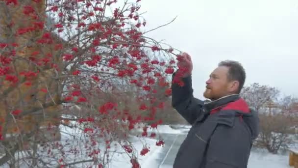 Человек ест ягоды Viburnum Рядом со старой церковью православный монастырь церковный скит Всех Святых Турист пришел, чтобы увидеть Достопримечательности молящегося на родном месте — стоковое видео