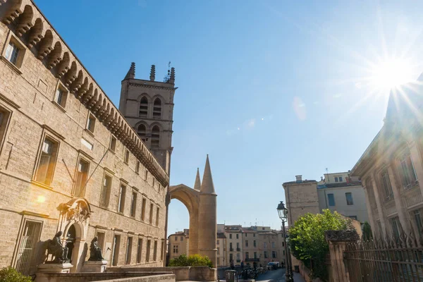 Montpellier Üniversitesi, Tıp Fakültesi bina Montpel