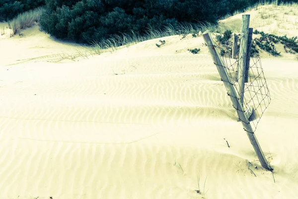 Mangawhai Heads lenyűgöző homokdűnék — Stock Fotó