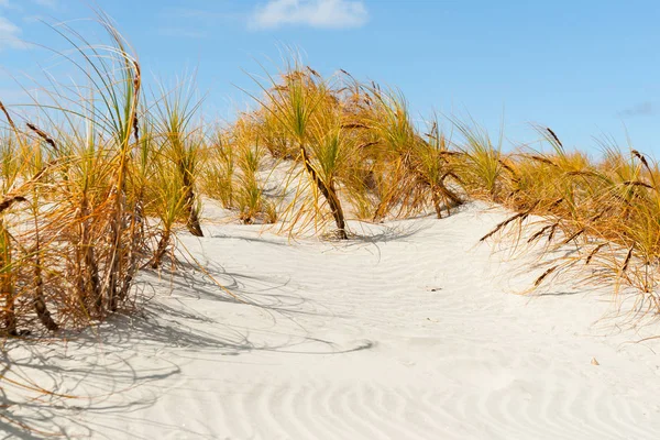 Stunning Mangawhai Heads sand dunes