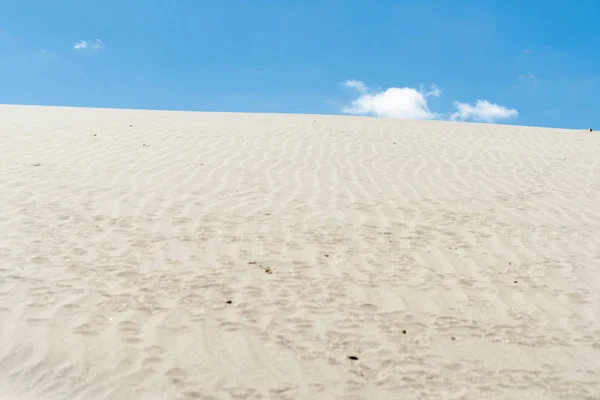 Splendide dune di sabbia Mangawhai Heads — Foto Stock