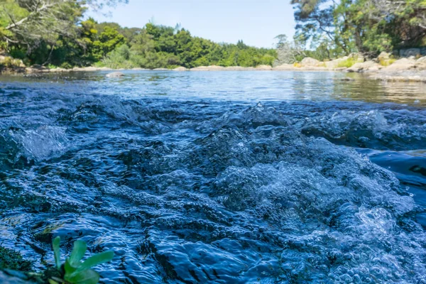 Kerikeri River rapids körül bush — Stock Fotó