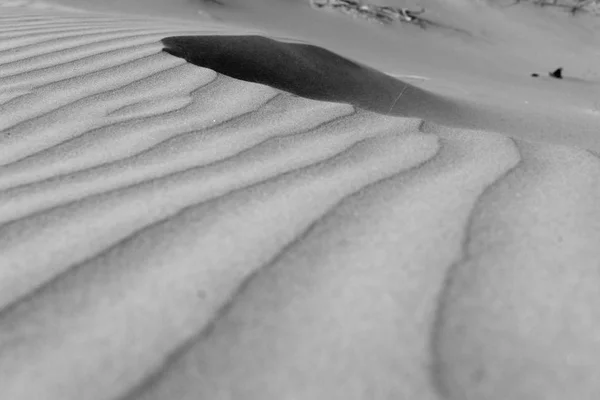 Modele de nisip măturat de vânt Ninety Mile Beach, Northland NZ — Fotografie, imagine de stoc