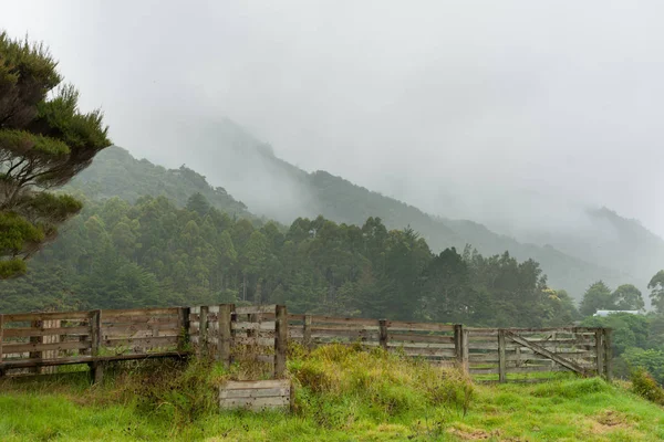 Paisagem nebulosa no dia molhado em Northland Nova Zelândia — Fotografia de Stock