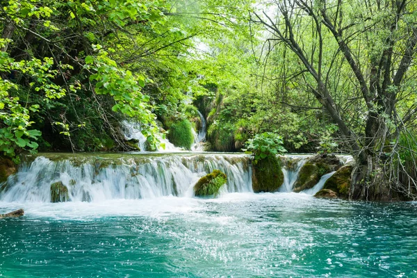 Cachoeira e vegetação de ônibus natural com água azul-turquesa Plitv — Fotografia de Stock