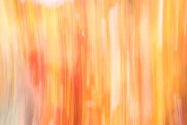 Intensi colori autunnali immagine astratta della vite nel Minatore — Foto Stock