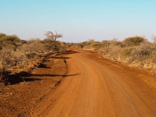 Red dirt track winds through African landscape towards horizon.