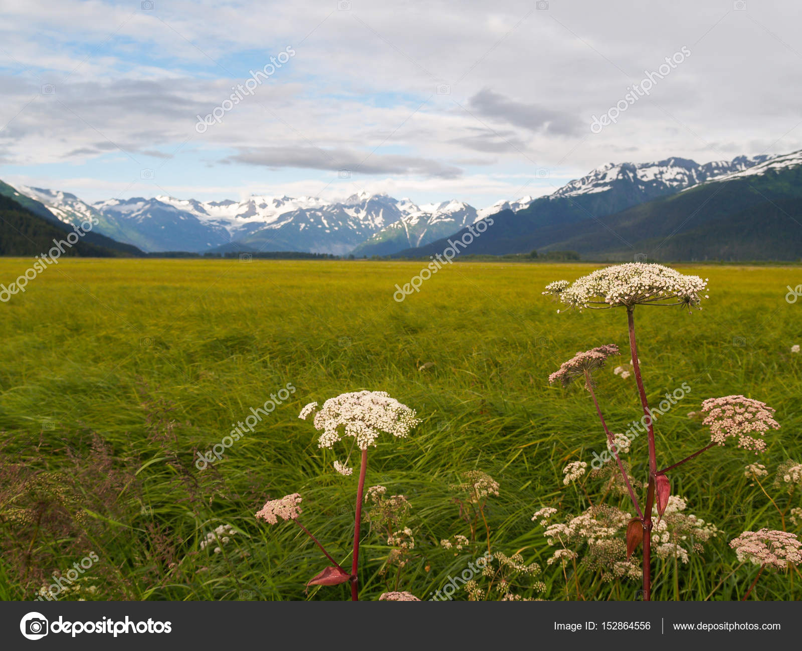 Zone Humide Entouré De Neige Lointain Couvert Montagnes
