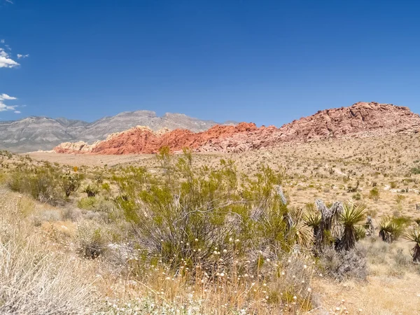 Vegetación del desierto y colinas rayadas en la distancia bajo el azul claro — Foto de Stock