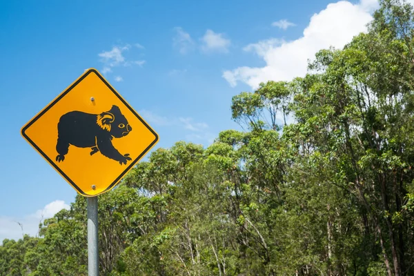 Koalabär-Warnschild schwarz auf gelb nahe Landstraße in Aus — Stockfoto