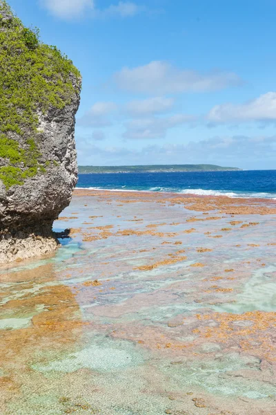 Κόκκινο χρωματισμένο κοραλλιογενείς ράφι περιβάλλον κάτω νησί του Νιούε — Φωτογραφία Αρχείου