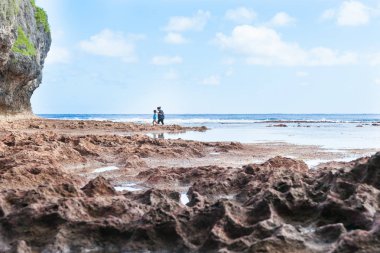 Tropikal Niue mercan raf üzerinde rock havuzları keşfetmek