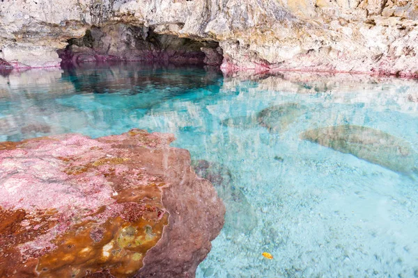 Calmo turquesa água colorida na piscina na caverna de calcário na costa — Fotografia de Stock