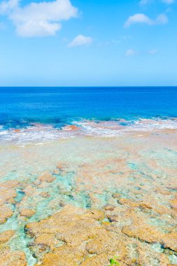 Tropikal renkleri mercan, deniz ve gökyüzü